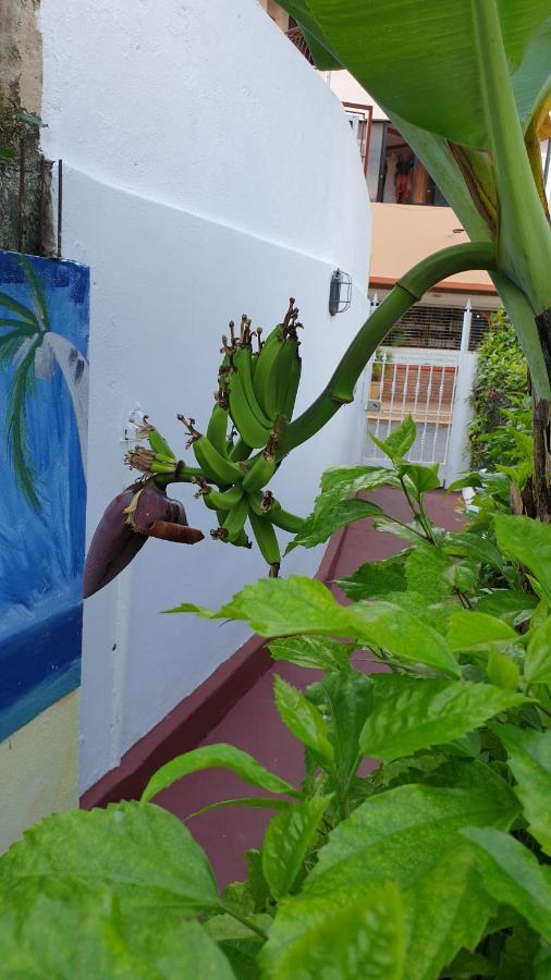 Playa Blanca Bed And Breakfast Bayahibe Bagian luar foto